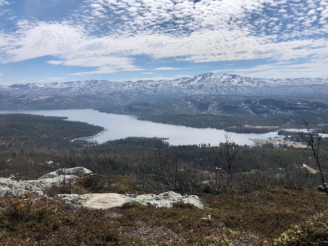 Gautoberget maj 2021